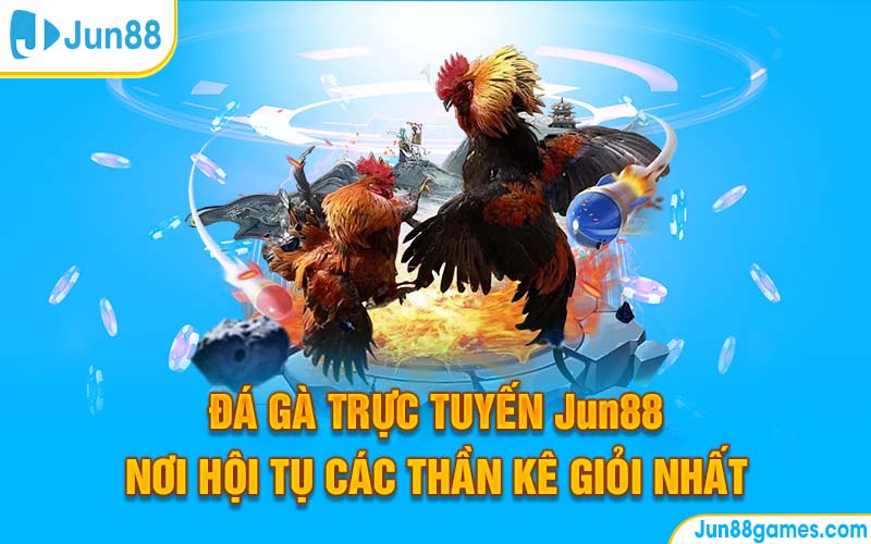 Đá Gà Trực Tuyến Jun88 – Nơi Hội Tụ Các Thần Kê Giỏi Nhất